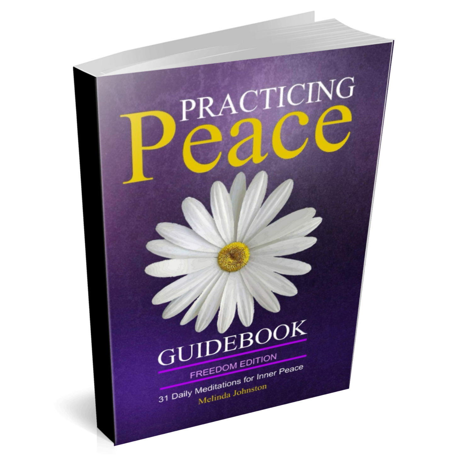 Practicing Peace Guidebook