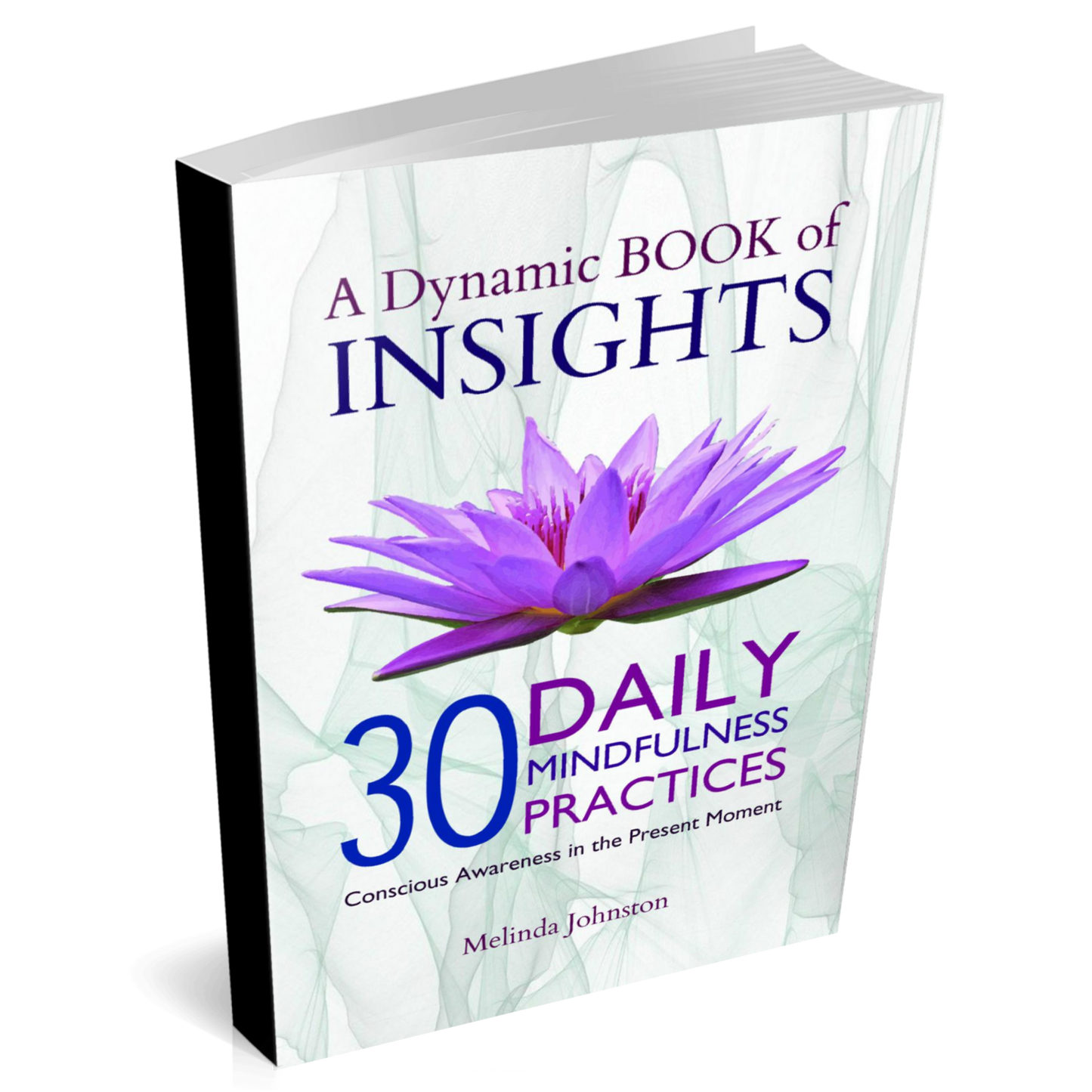 Dynamic Book of Insights - 30 Daily Mindfulness Practices