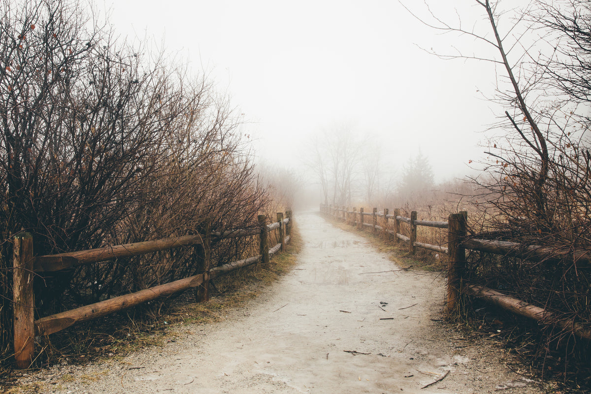 ONWARD | Five Months Spiritual Mentoring