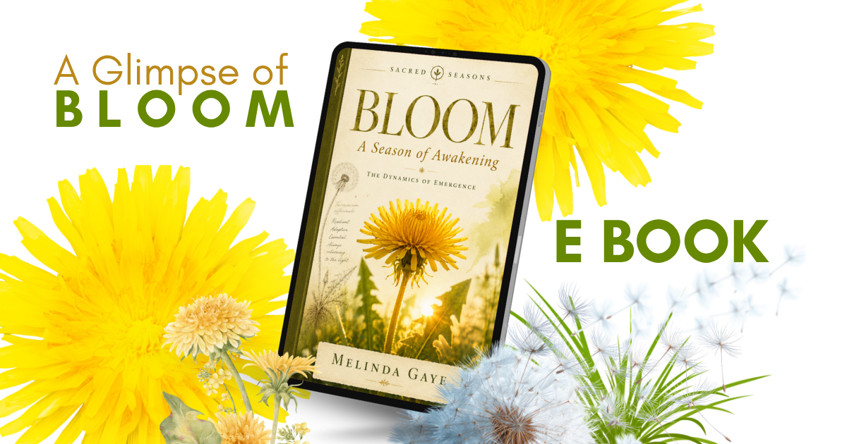 Bloom E-Book Sampler