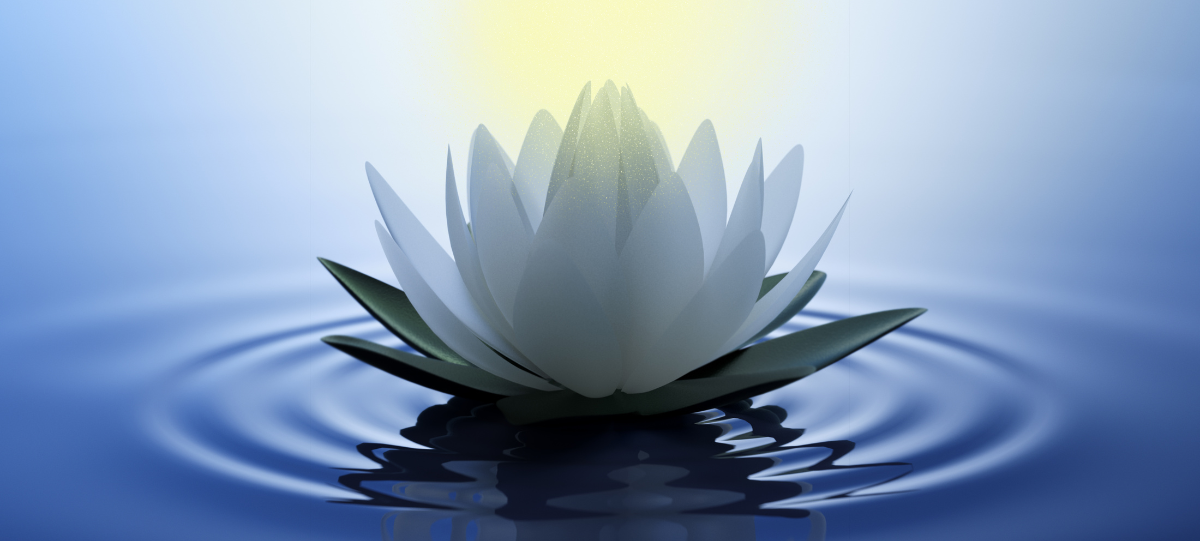 White lotus flower floating on water with a bright light source above