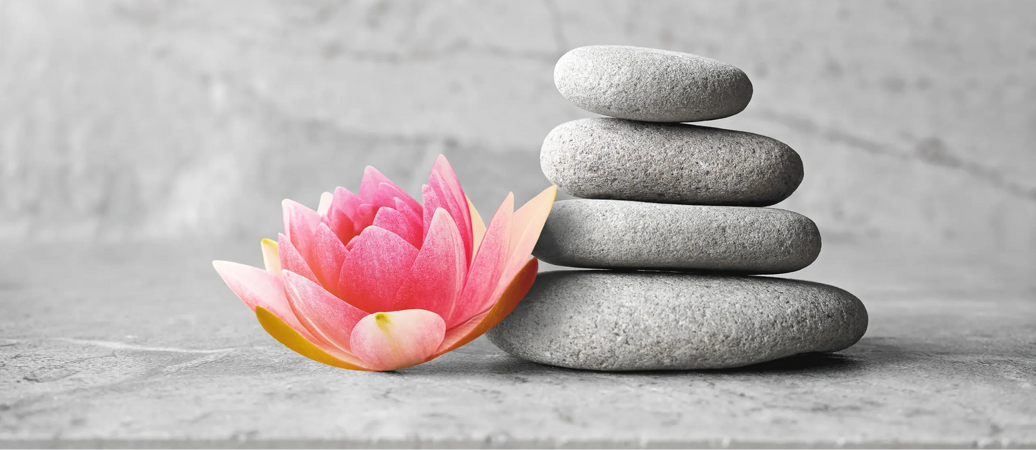 Pink lotus flower and stack of gray stones on a gray background