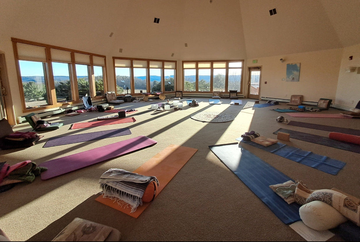 Yoga studio with mats arranged for practice, large windows, and scenic view.