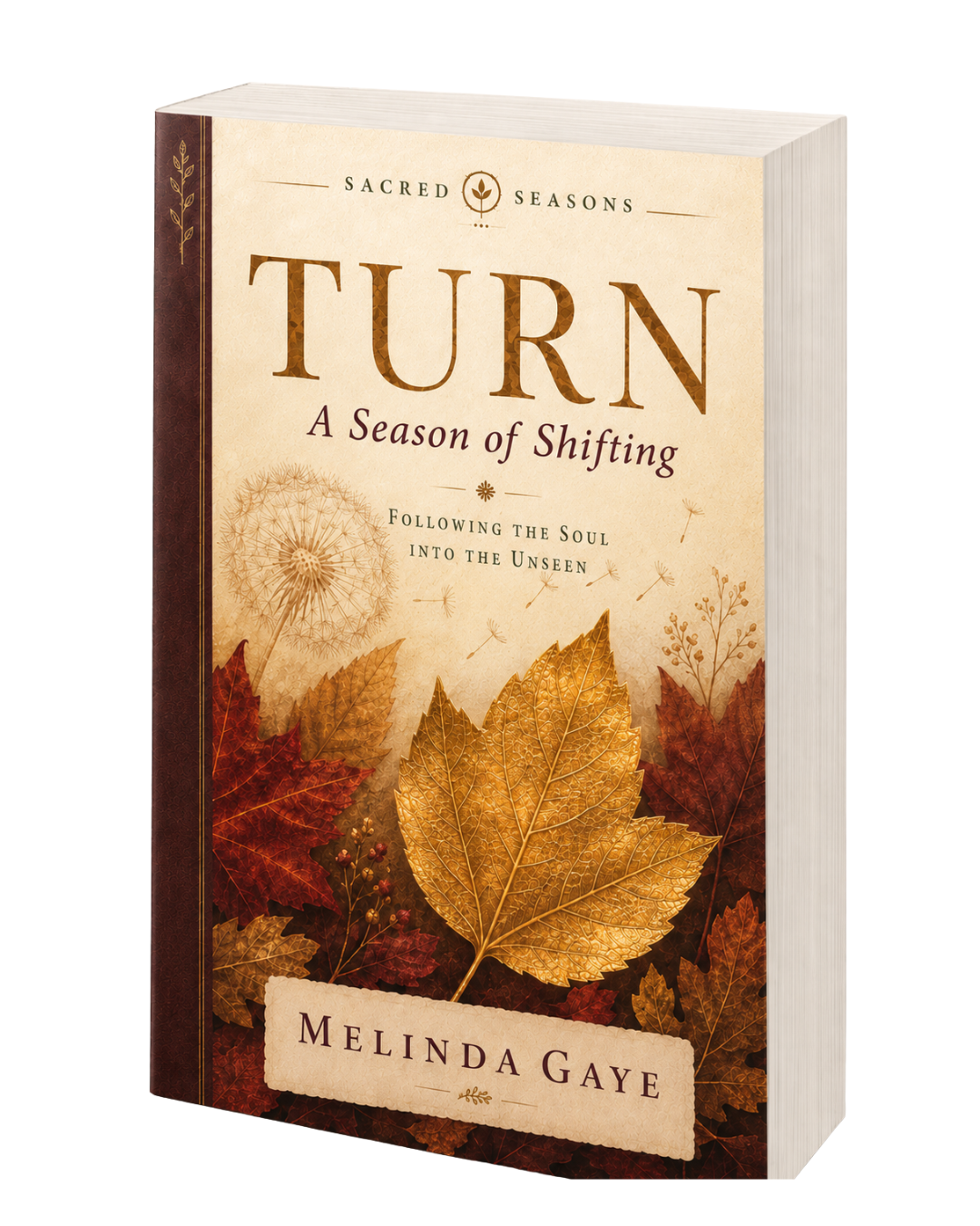 Turn: A Season of Shifting - Pre-Order