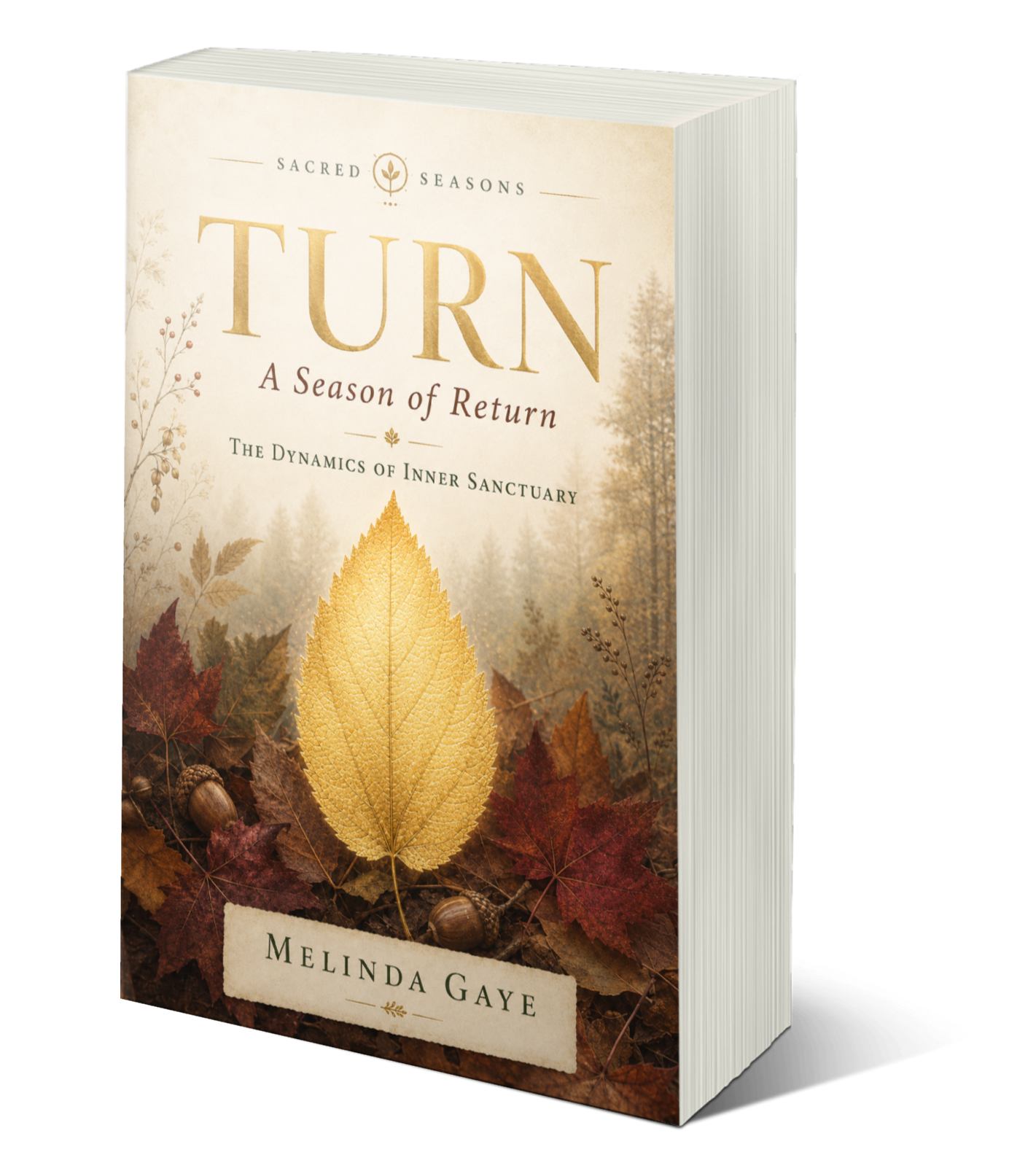 Turn: A Season of Returning - Pre-Order