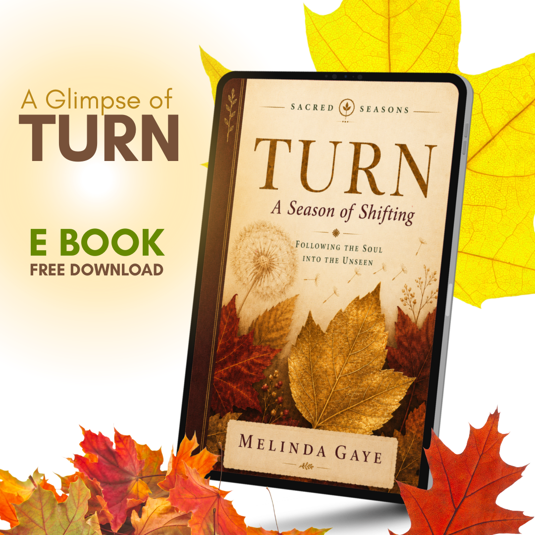 A Glimpse of TURN